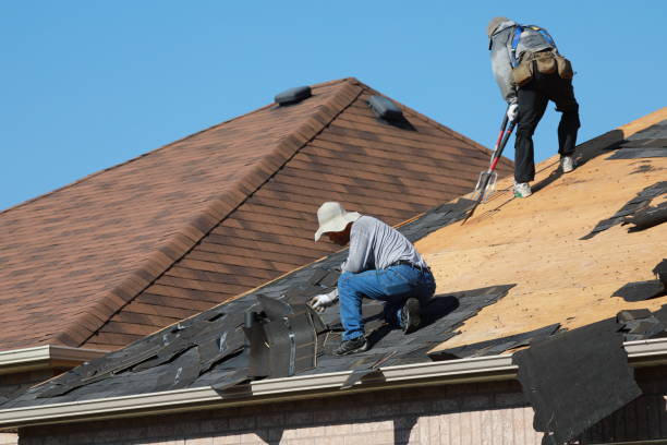 Best Cold Roofs  in Sterling, AK