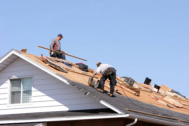 Best Metal Roofing Installation  in Sterling, AK