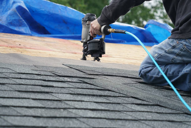 Steel Roofing in Sterling, AK